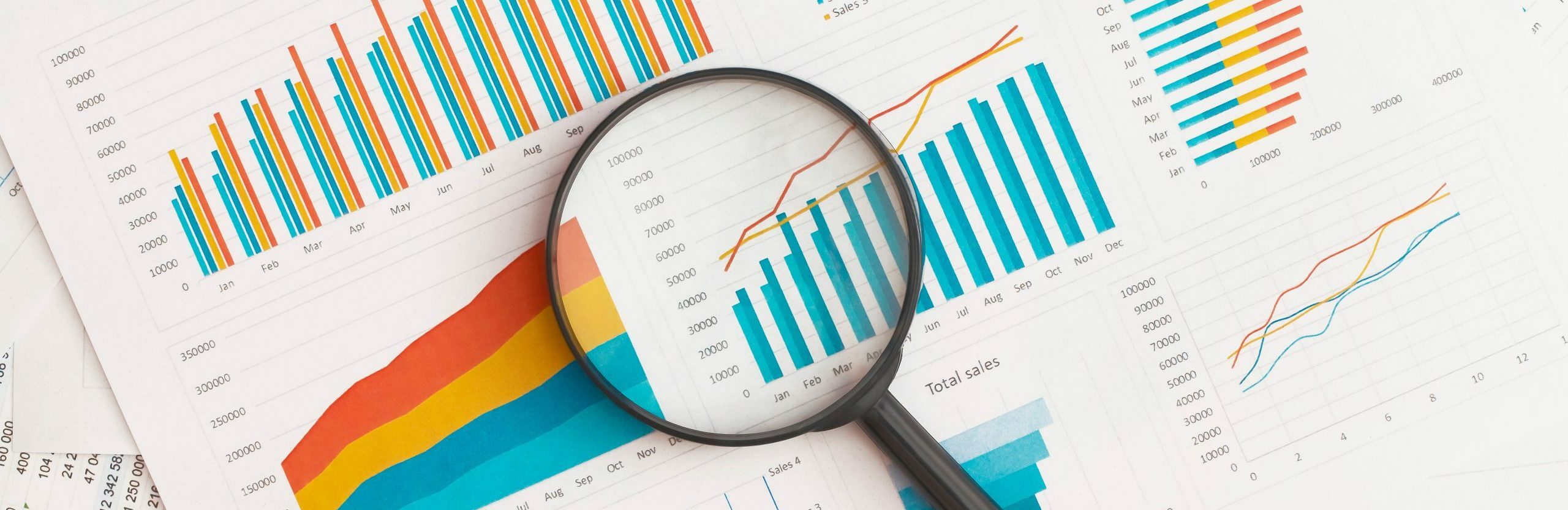Lupe auf einer Statistik abgelegt