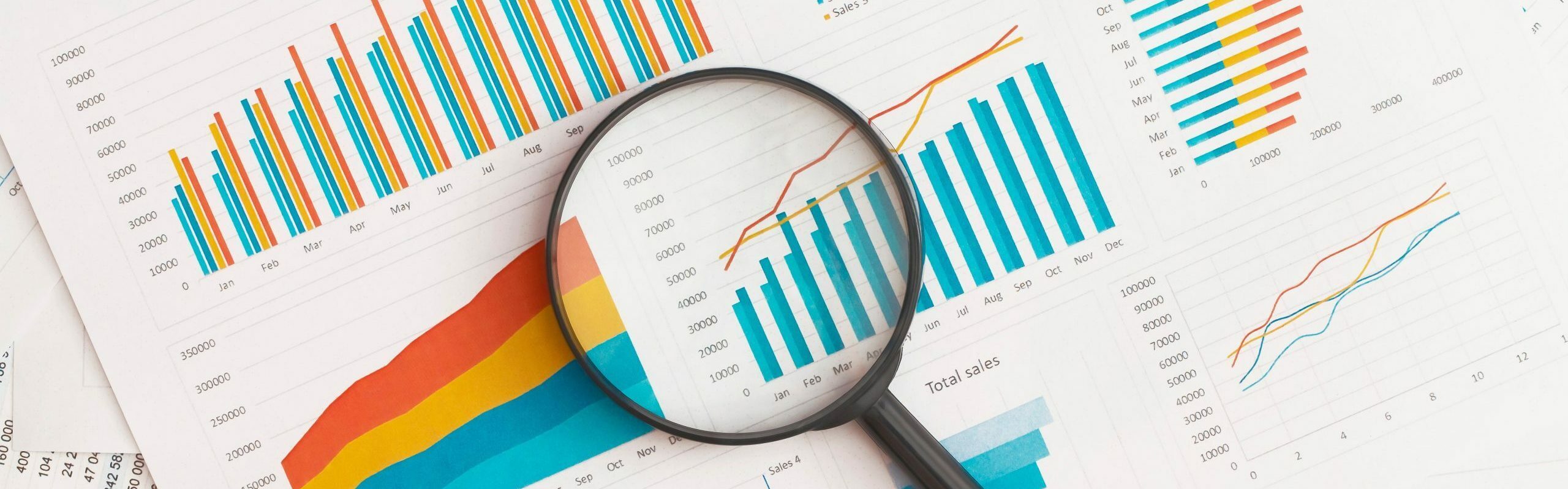 Lupe auf einer Statistik abgelegt