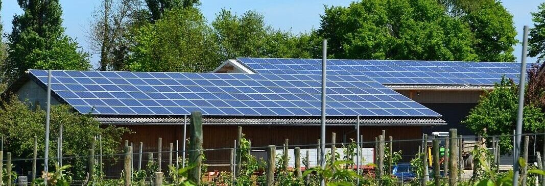 Landschaftliches Bild mit Blumenwiese und einem Sonnenuntergang