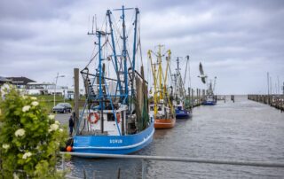 Kutterhafen Dorum-Neufeld