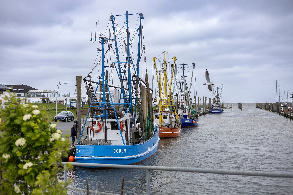 Kutterhafen Dorum-Neufeld